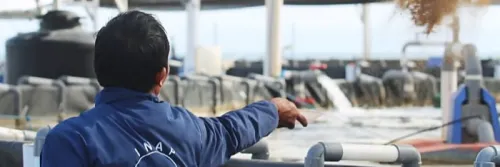 Jaga Kualitas Pakan Udang dengan Feed Additive