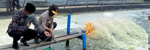 Mengintip Tambak Udang Intensif di Sukamara - Kalteng