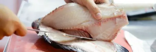 Mengenal Fillet Ikan, Tipe Fillet Ikan dan Cara Fillet Ikan