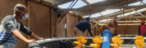 Hasanuddin Atjo Jelaskan Pentingnya Nursery Udang