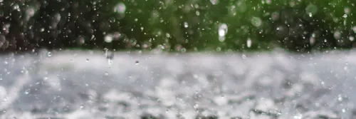 Tips untuk Pembudidaya Ikan Hadapi Musim Hujan