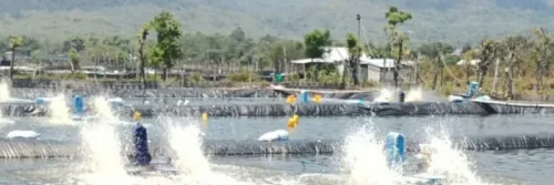 IPAL, Solusi Jangka Panjang Semua Jenis Tambak