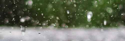 Tips Merawat Tambak Ketika Musim Hujan