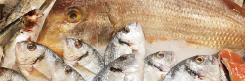 5 Cara Menyimpan Ikan di Kulkas yang Benar Agar Lebih Tahan Lama