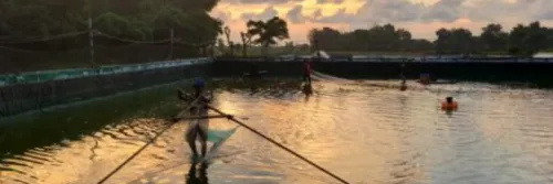 Rico Wibisono: Manfaat Sistem Pendederan Udang