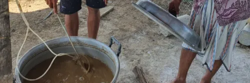 Probiotik RICA, ‘Makhluk Halus’ Penyelamat Tambak di Pangkep