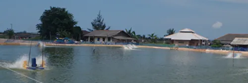 Langkah Penetrasi Digital di Perudangan