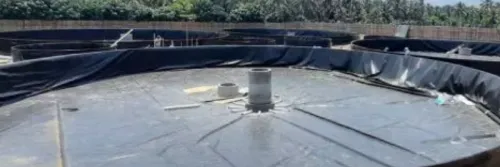 Cara Praktis Budidaya Udang Air Tawar dengan Portable Pond System