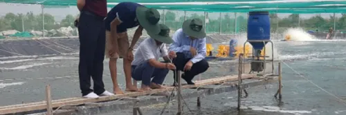 High Technology and High Density in Semi-biofloc Shrimp Farming