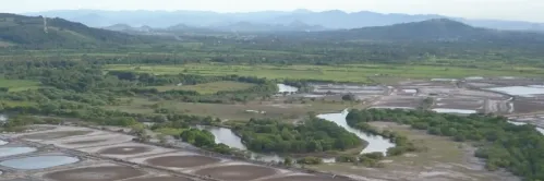 Dorong Keberlanjutan Produksi Udang Nasional dengan Mengoptimalkan Zonasi