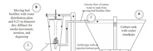 Upaya Penyisihan Total Amonia Nitrogen Melalui Aplikasi Biofilter Moving Bed dengan Sistem RAS pada Hatchery Bersalinitas Rendah