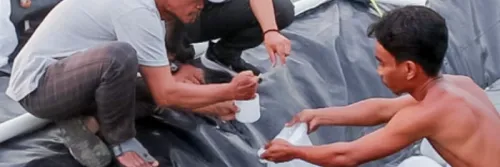 Cintai Udang Layaknya Keluarga