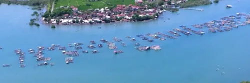 Pertama di Indonesia, Teluk Jukung Lombok Timur ditetapkan Jadi Sentra Budidaya Lobster