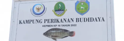 Kampung Nila Salin di Indramayu, Targetkan Dalam Dua Tahun Tembus Pasar Nasional