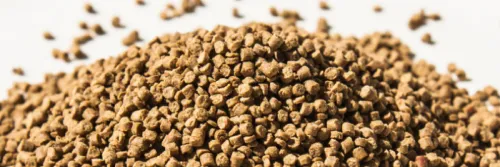 Konsep Revolusioner Pakan untuk Memberi Makan Udang