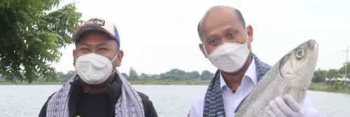 Putaran Uang dari Budidaya Bandeng Triliunan Rupiah per Tahun, KKP Canangkan Kampung Bandeng di Gresik