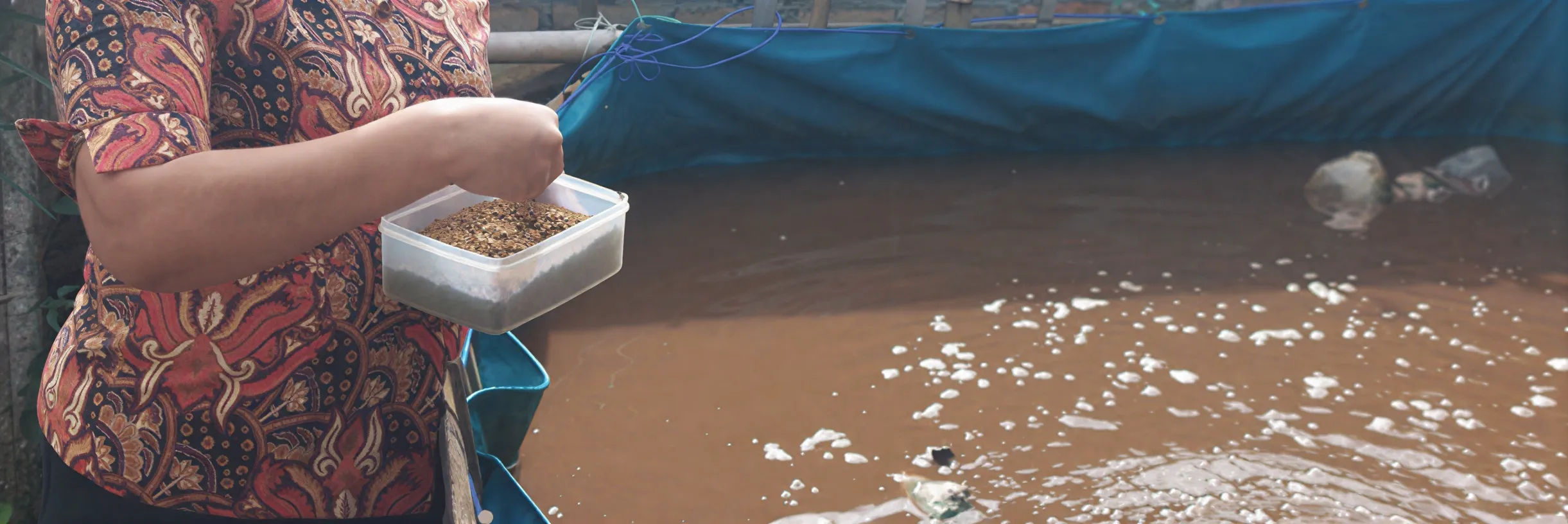 Kunci Sukses Pelihara Lele di Dataran Tinggi