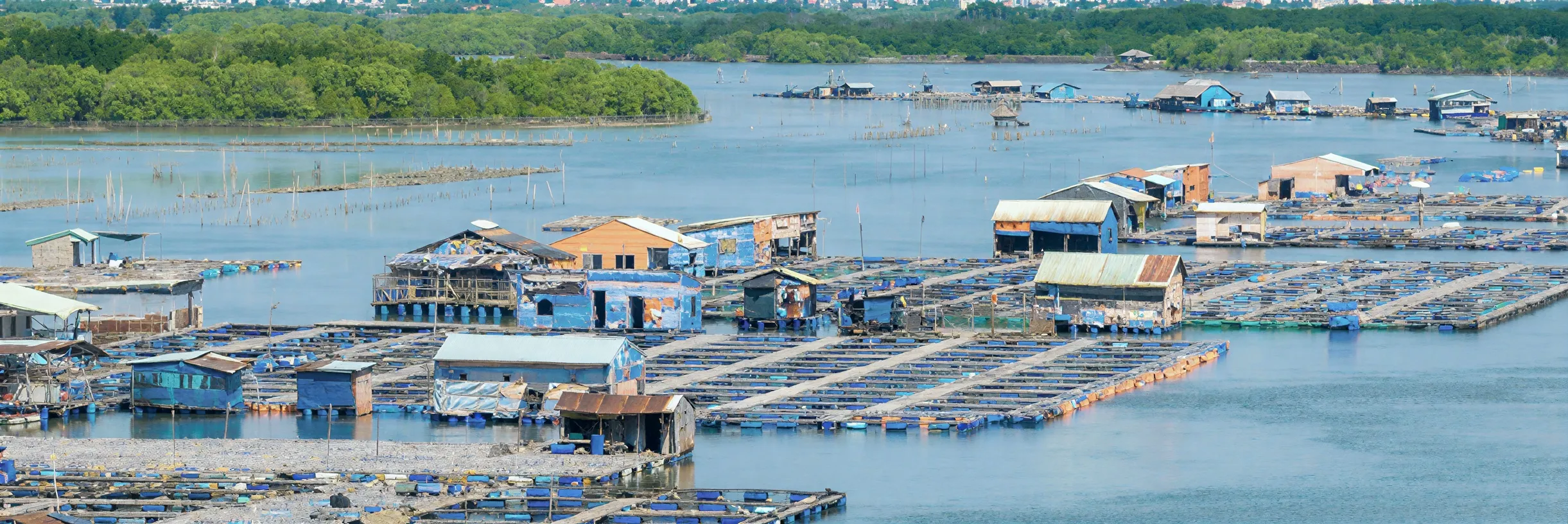 Pengembangan Marikultur Berbasis Masyarakat