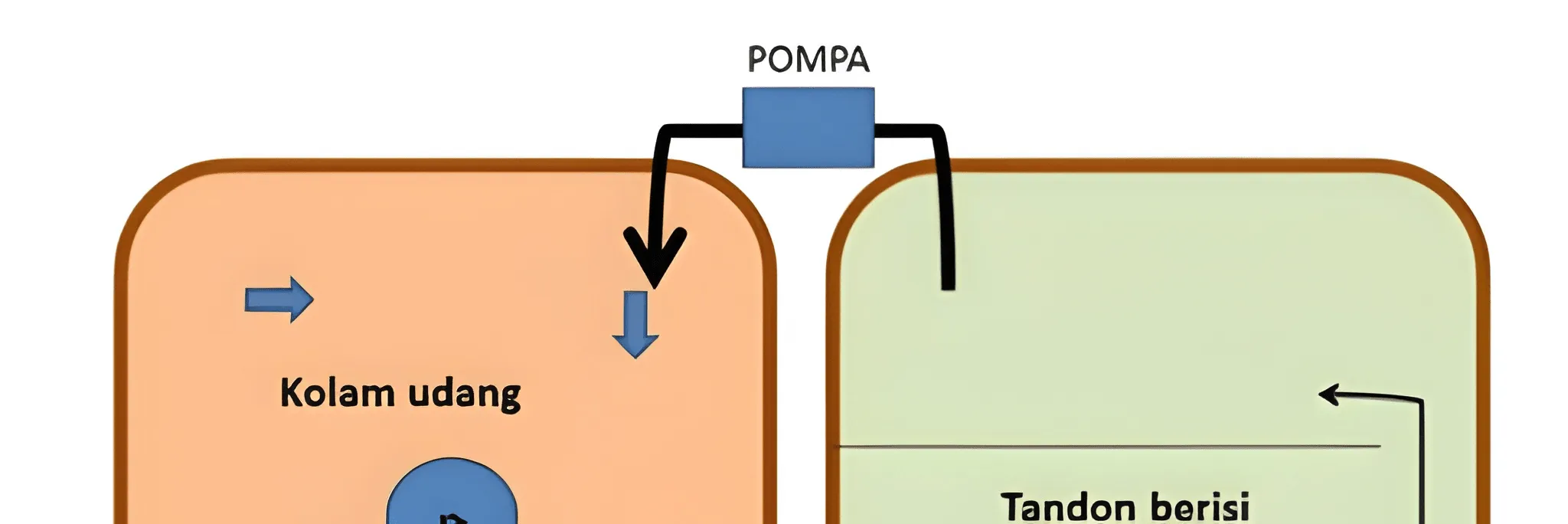 Teknologi Resirkulasi, Jadi Alternatif Budidaya Udang Vaname