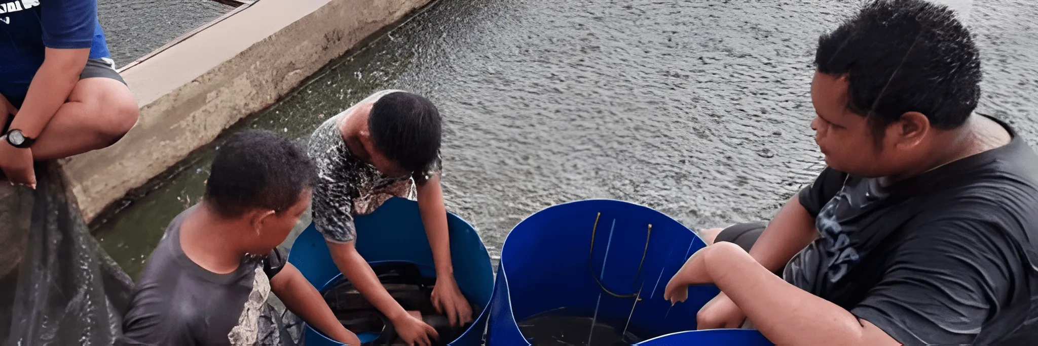 Tiga Kunci Sukses Pemijahan Lele Semi-buatan