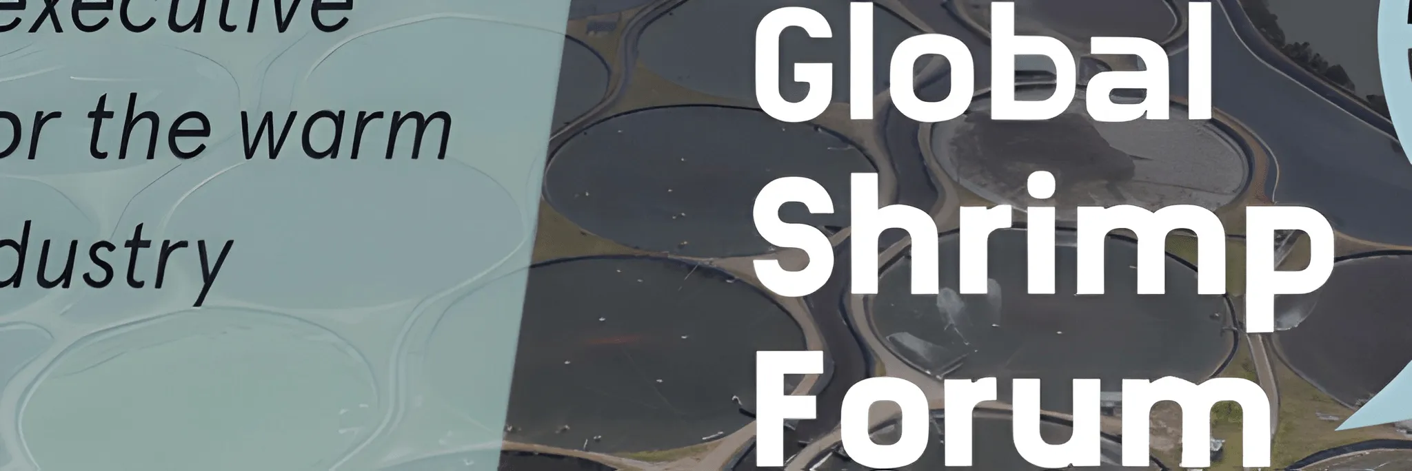 Forum Udang Global Pertama Siap Digelar Tahun Ini di Belanda