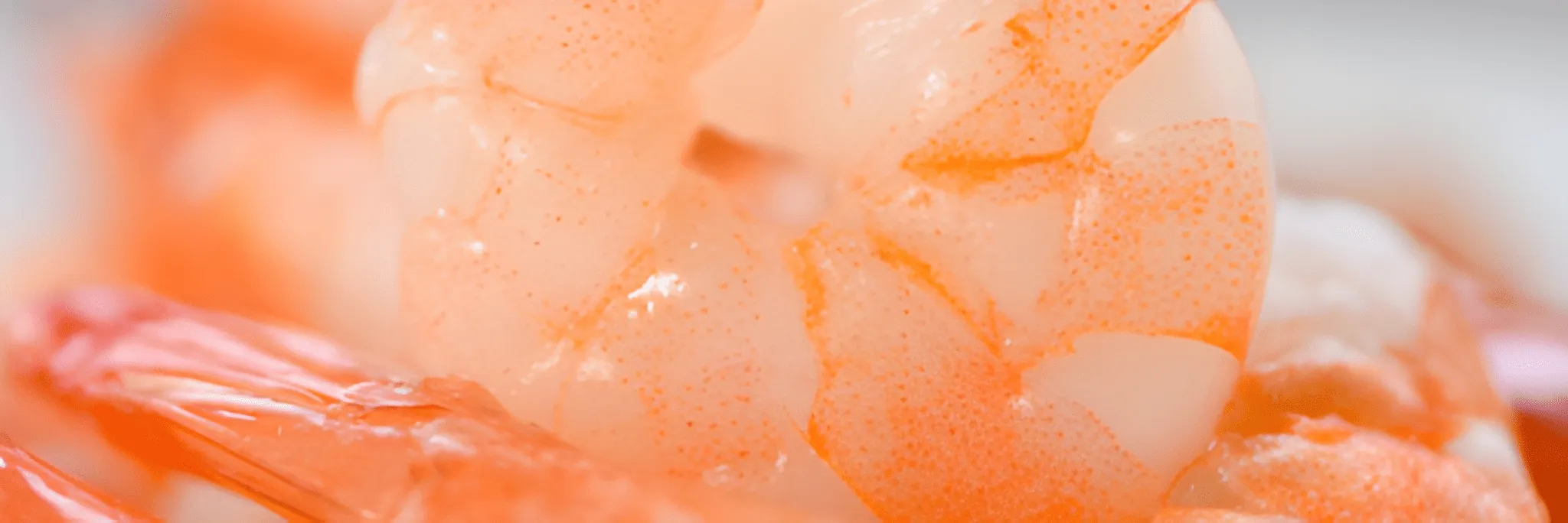 Patuhi Aturan Food Safety