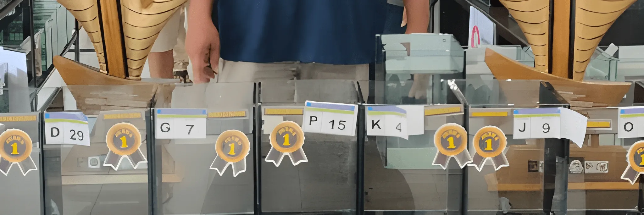 Tingkatkan Peluang Usaha Budidaya Ikan Hias melalui Kontes Ikan Guppy