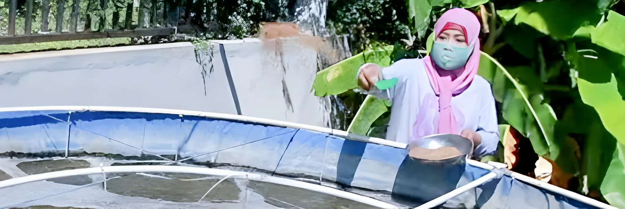 Inovasi “Bumi Kraksaan”, Terobosan Budidaya Udang Vannamei Berskala Rumah Tangga