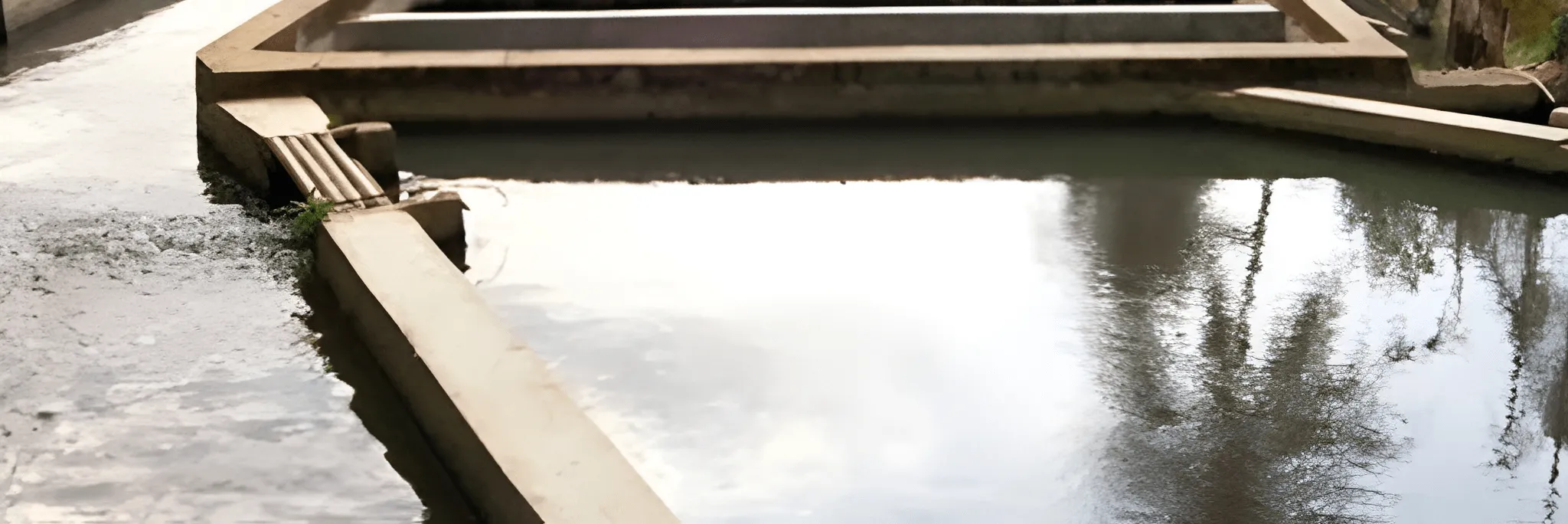 Wadah Budidaya Perikanan: Kolam Air Deras