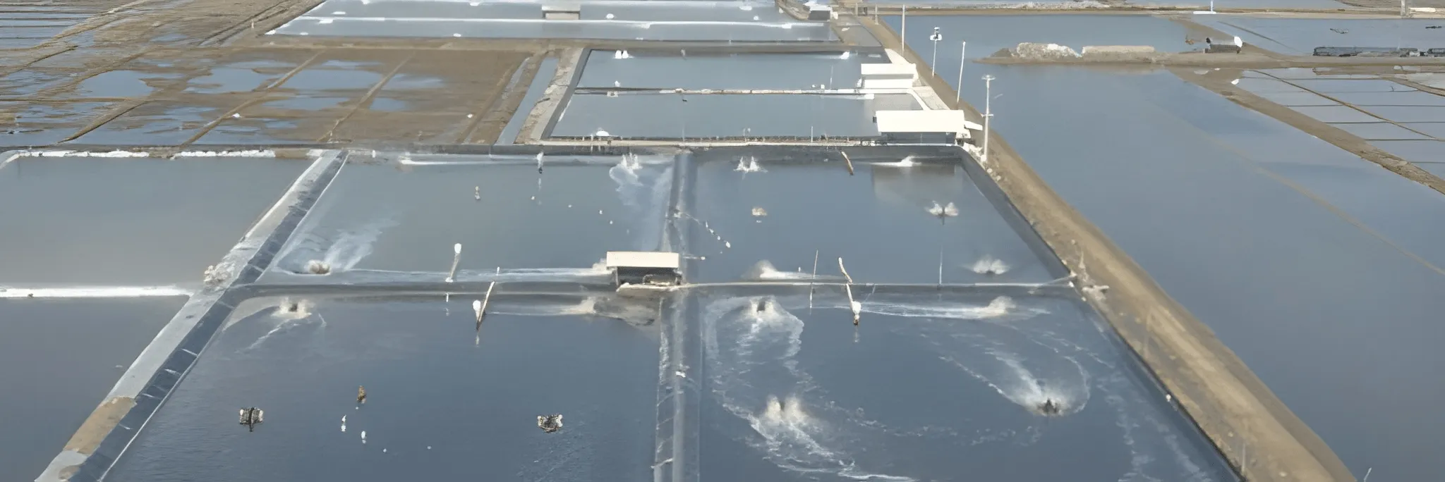 Perencanaan Keuangan untuk Petambak Udang