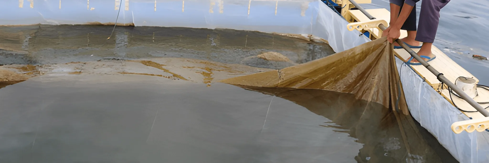 Pemijahan Kerapu Kini Bisa Dilakukan dengan Lebih Sederhana di KJA