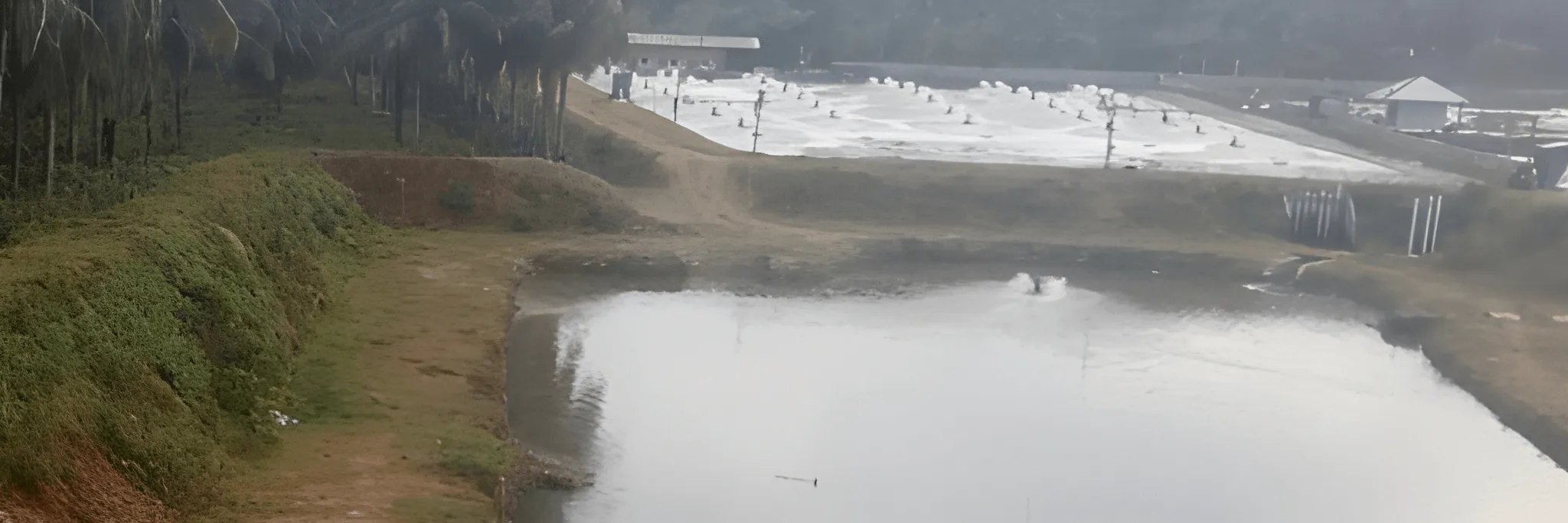 Urgensi Instalasi Pengolahan Air Limbah (IPAL) dalam Budidaya Udang