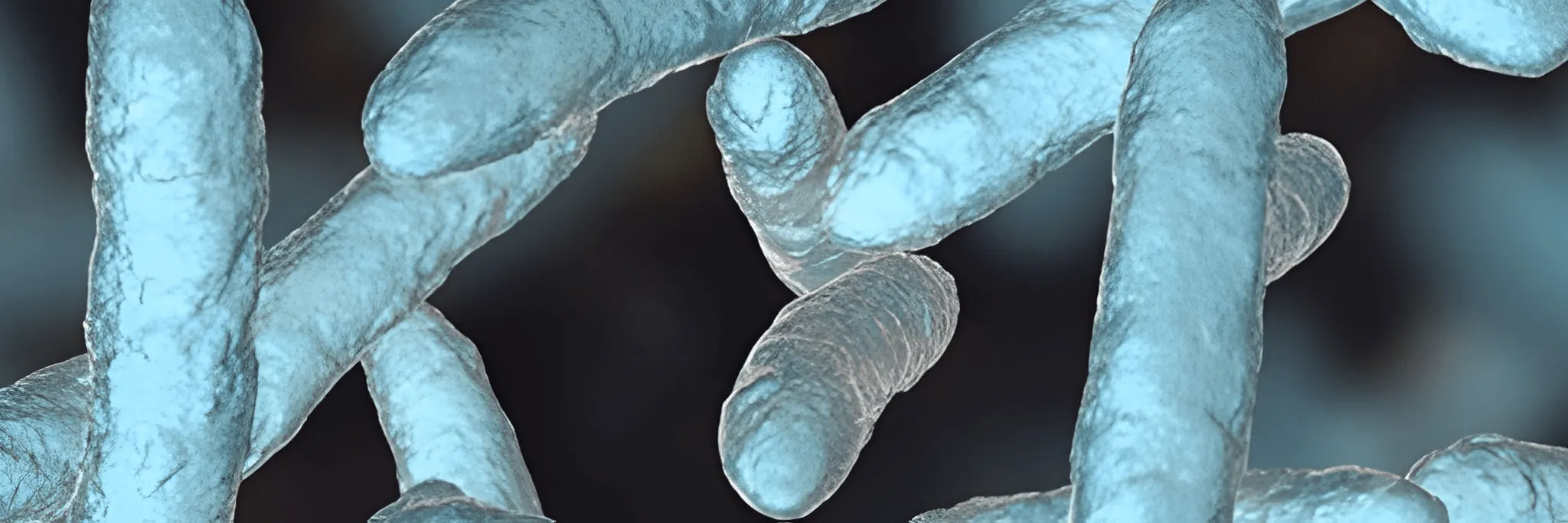 Probiotik Meningkatkan Kualitas Air Tambak