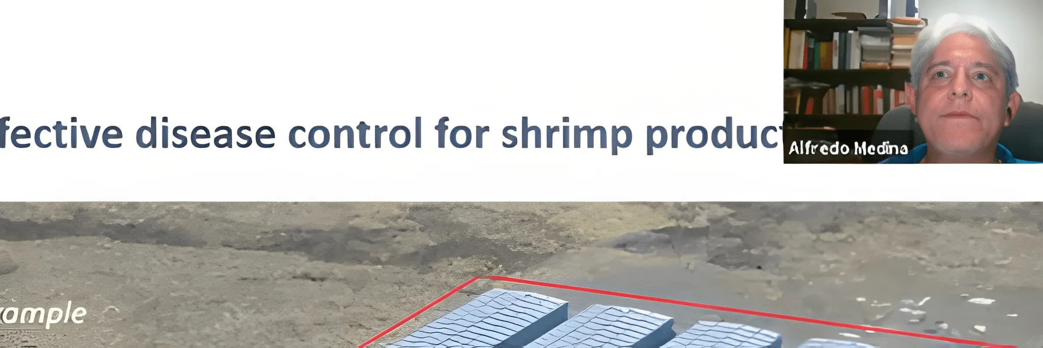 Manajemen Air di Hatchery Udang agar Patogen Tak Mudah Masuk