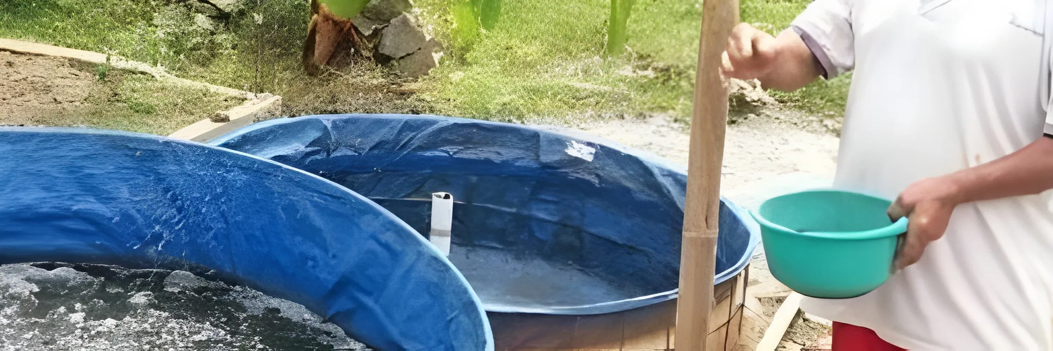 Modal Rp 1,75 Juta Lele Bioflok, Setahun Bisa Balik Modal