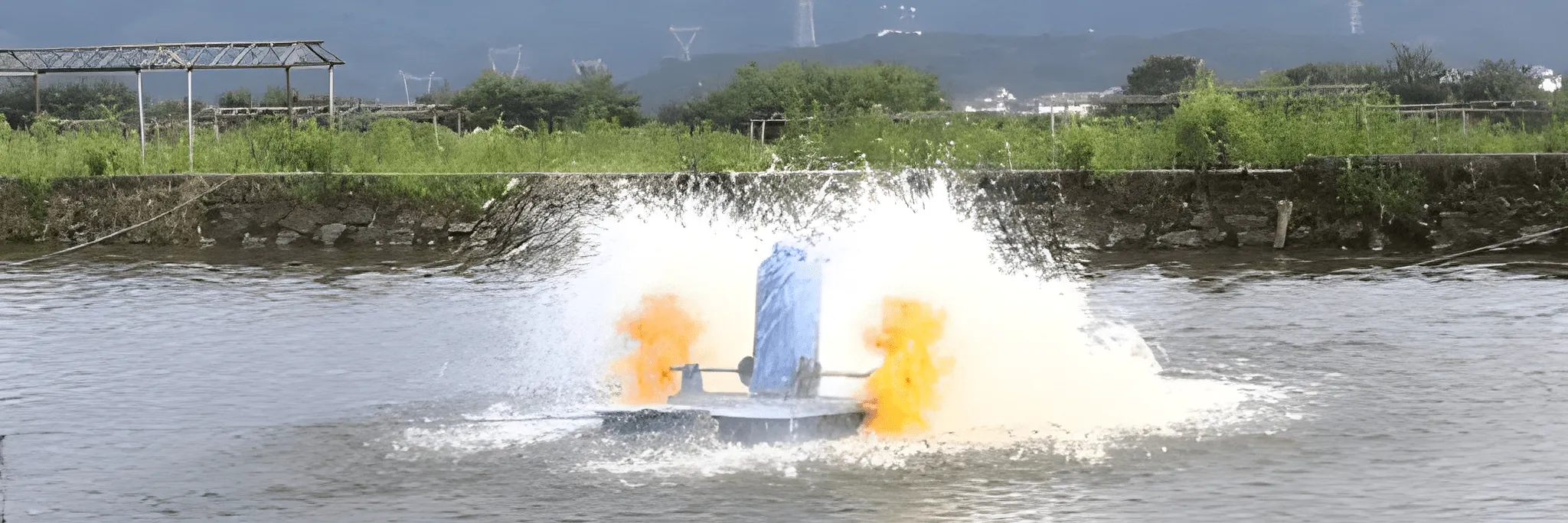 Probiotik, Imunostimulan, dan Manajemen Kualitas Air