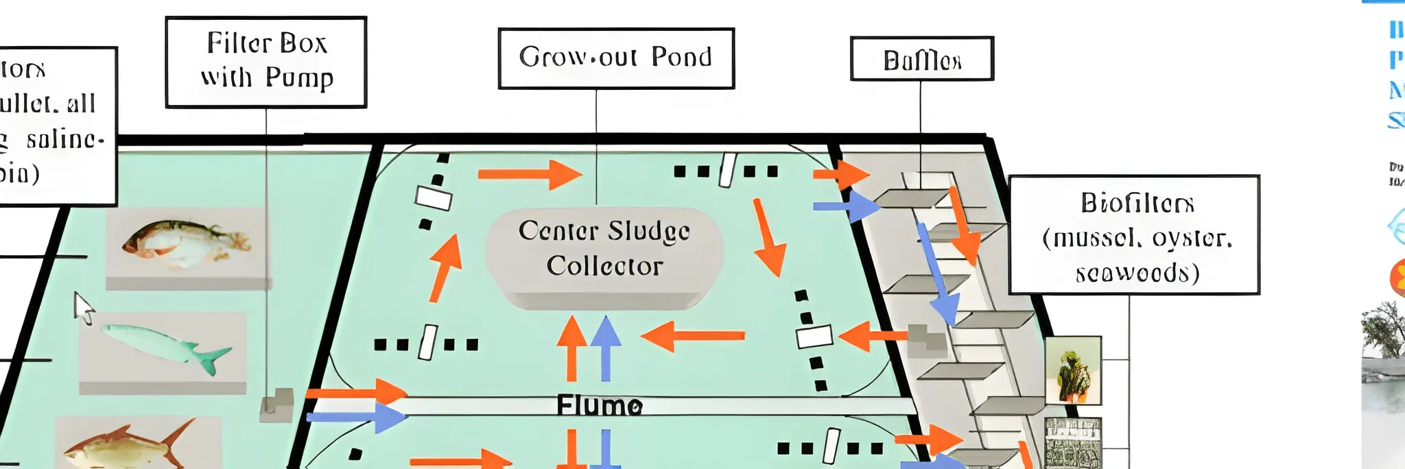 Alur IPAL Tambak Udang