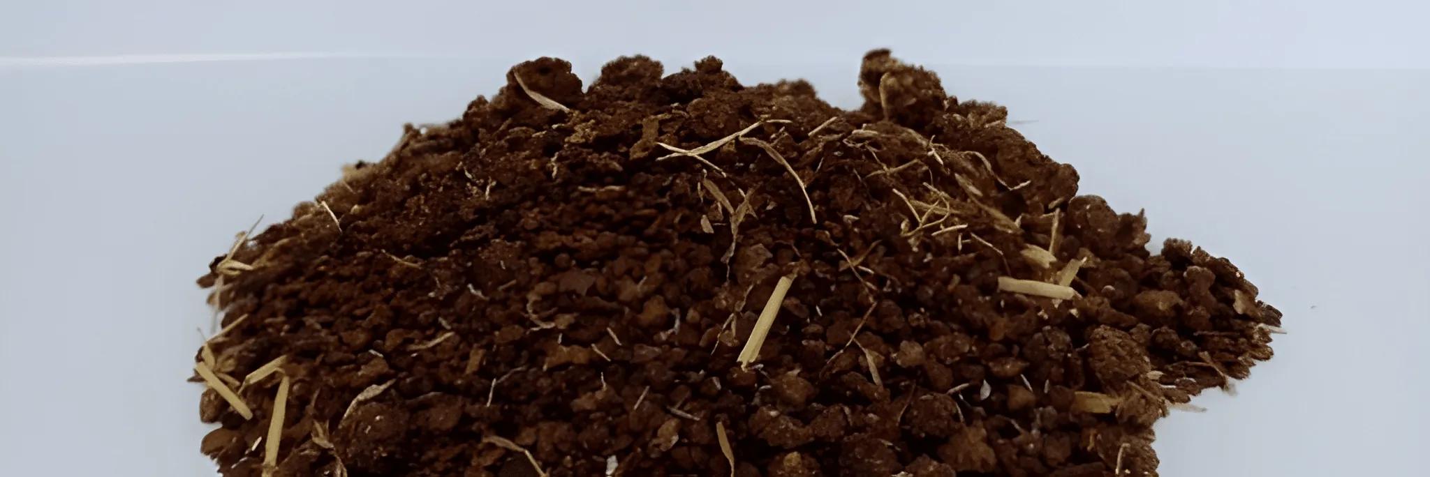 Saponin, Cegah Predator Udang dan Bandeng di Tambak