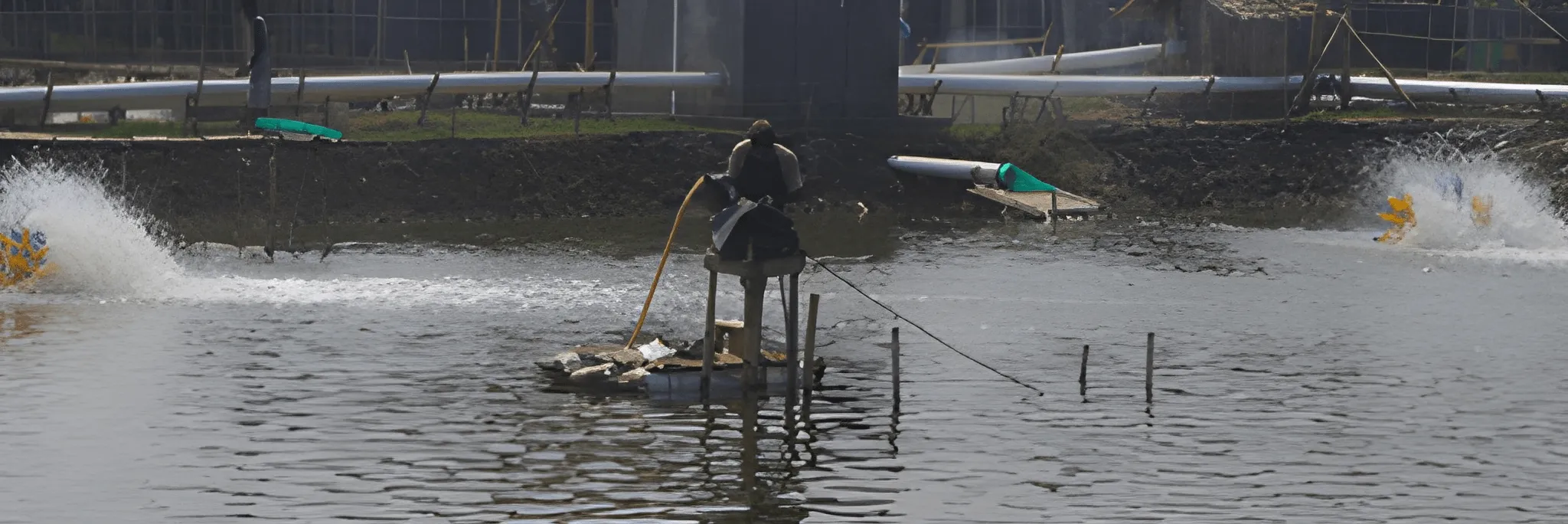 Lebih Siap Tebar dengan Nursery
