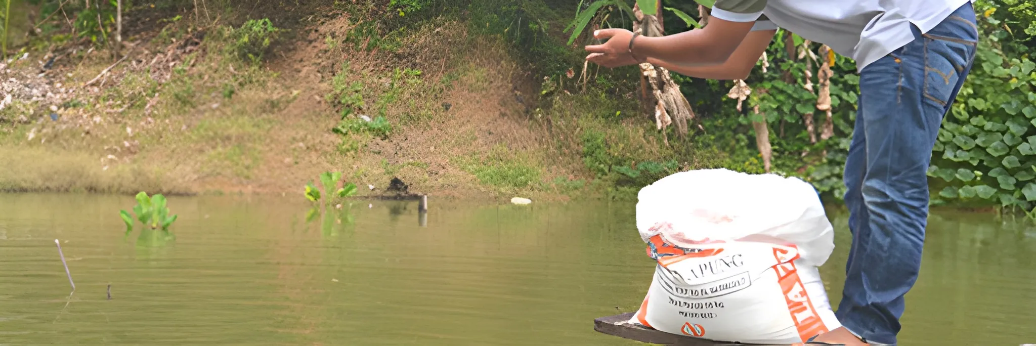 Pakan Efisien, Budidaya Nila Konsisten