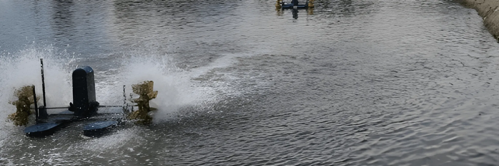 Warna Air Tambak Yang Bagus Untuk Udang Vaname
