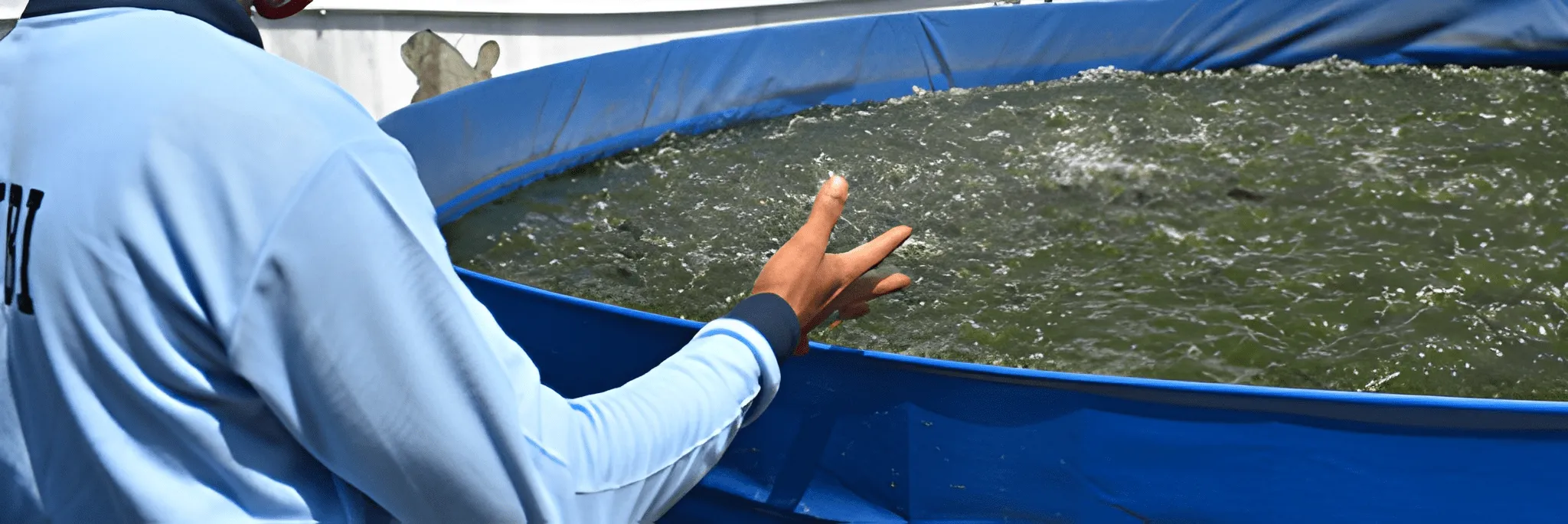 Aplikasi Probiotik Tepat, Pakan Hemat