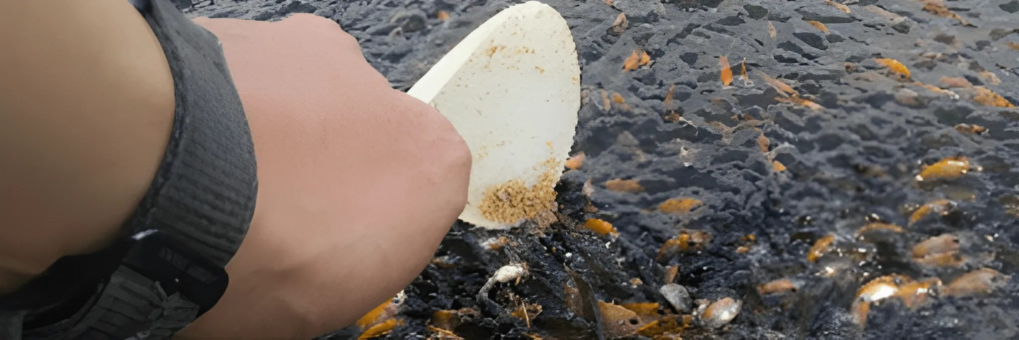 Ukuran Pelet Tepat, Produksi Benih Nila Maksimal