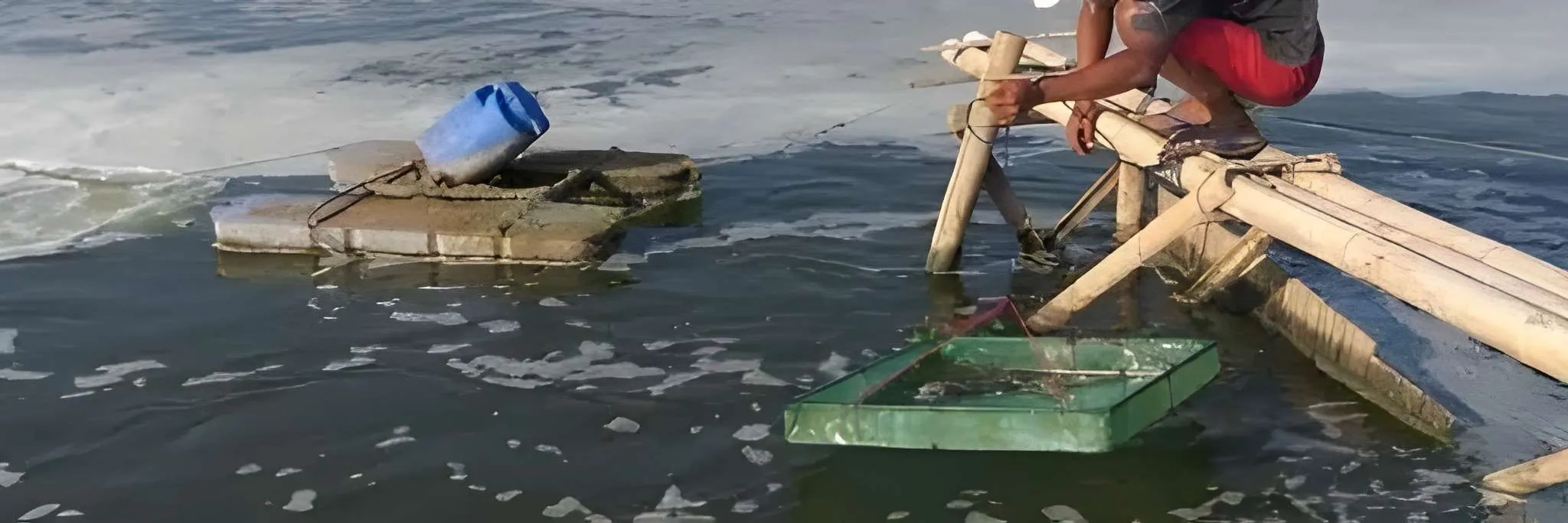 Kenapa Aplikasi Probiotik Tambak Udang Tidak Selalu Efektif?