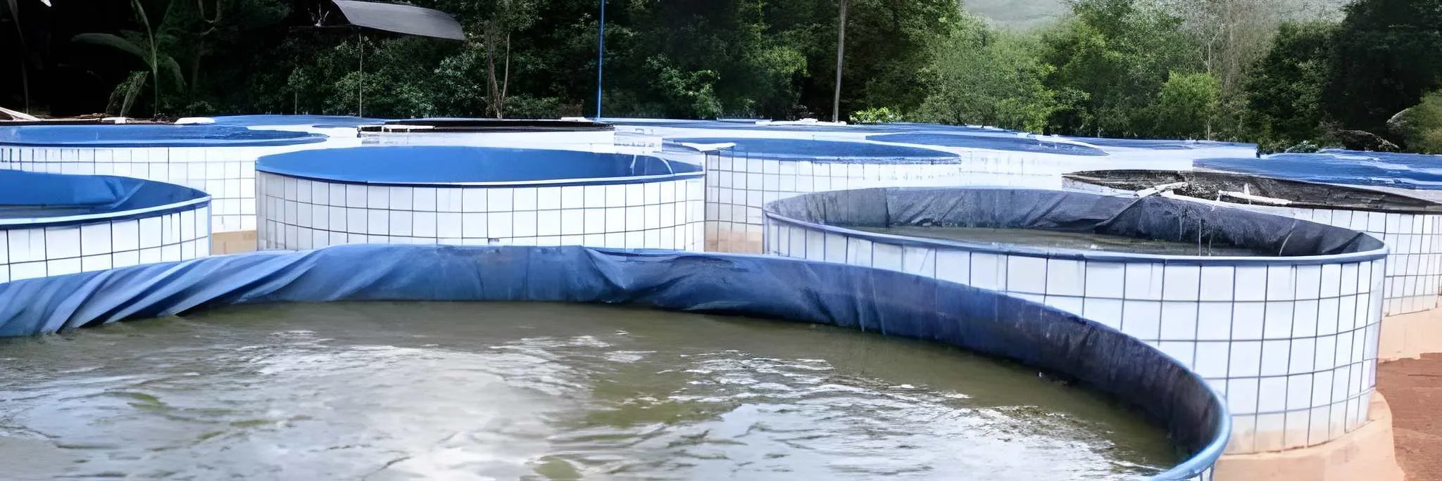 Jual Terpal Bioflok untuk Budidaya Nila