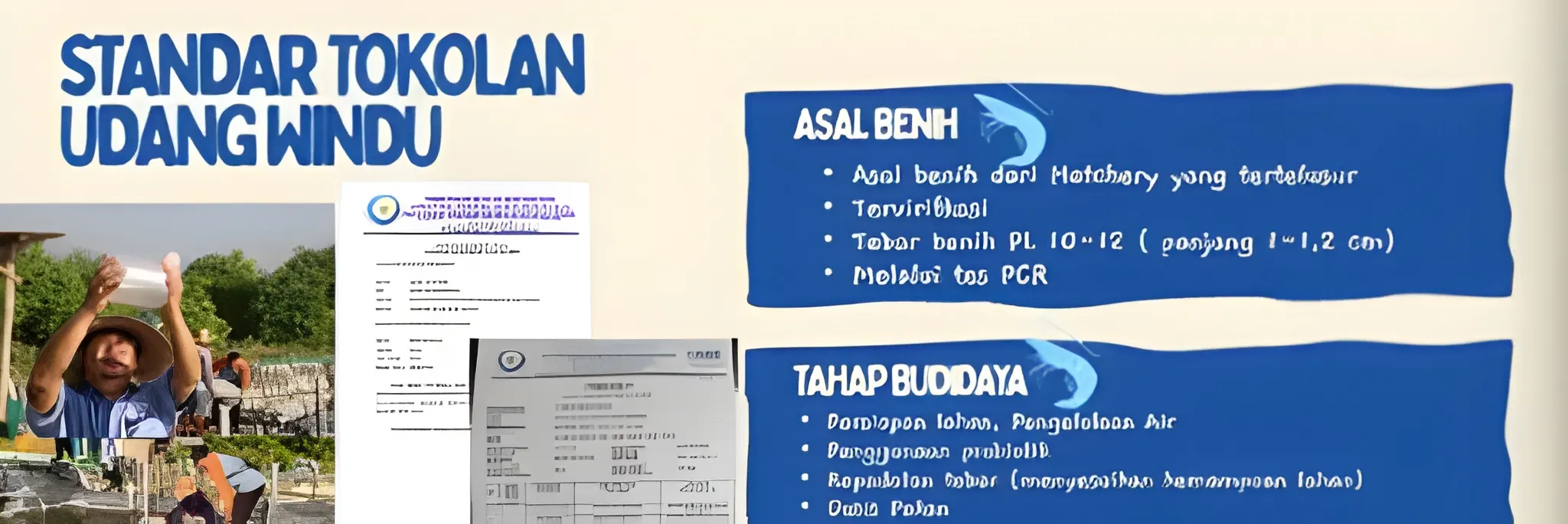 Bedah Cara Pentokolan Udang untuk Tingkatkan Produktivitas Tambak