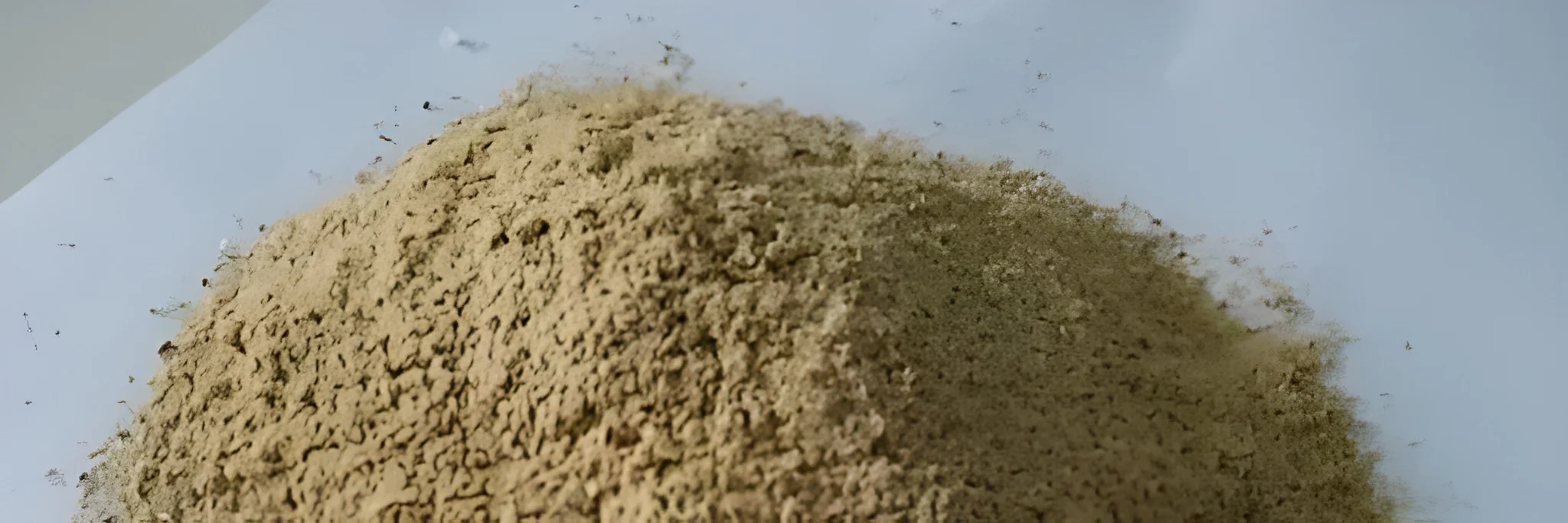 5 Pilihan Feed Additive Udang Terbaik agar Panen Maksimal