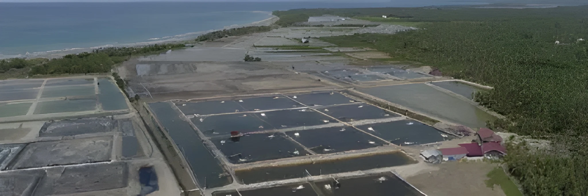 Tata Cara Komplit Biosecurity Tambak Udang Vaname