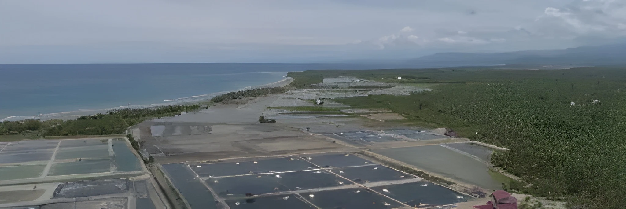 Penyakit Udang Masih Jadi Persoalan: Pentingnya Standarisasi Hatchery, Laboratorium Penyakit, dan SOP Budidaya