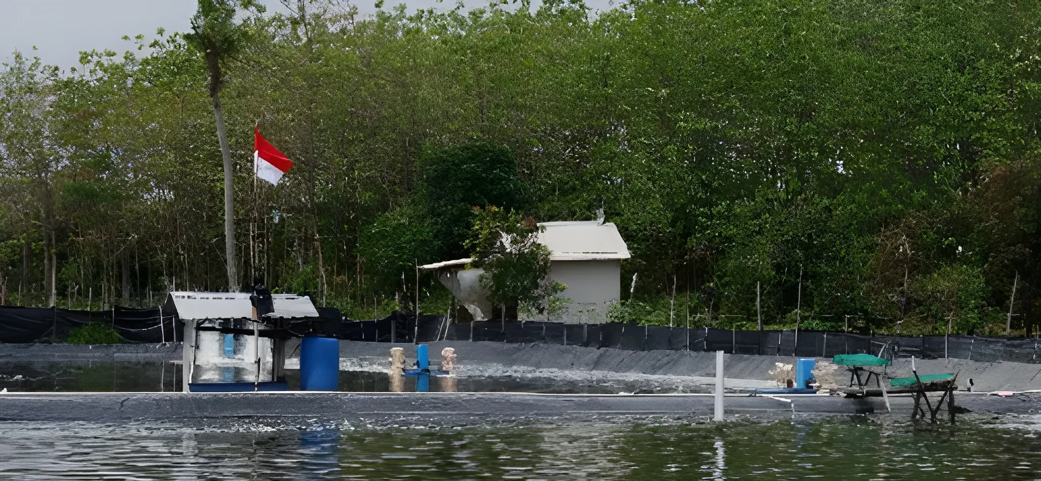 Aplikasi Venturi & UV Efektif Mencegah Penyakit Udang